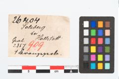 Etikett zu Bronzeperle (NHMW-PRAE-026404)